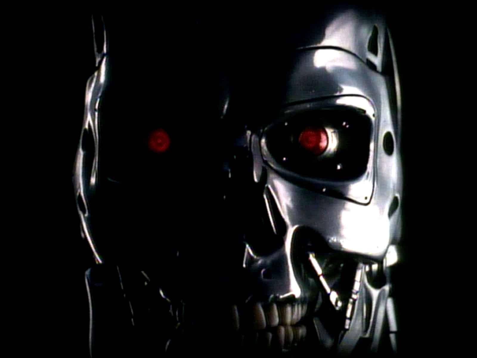 TERMINATOR T-800