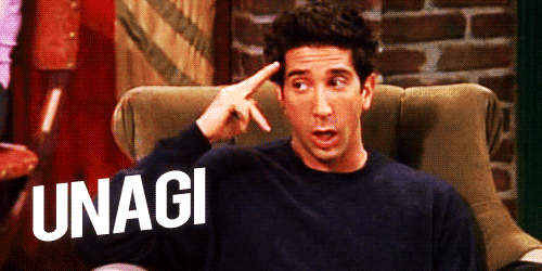 David Schwimmer es Ross