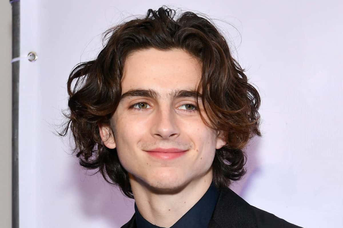 Timothée Chalamet protagonizará remake de Dune de Denis Villeneuve para Legendary