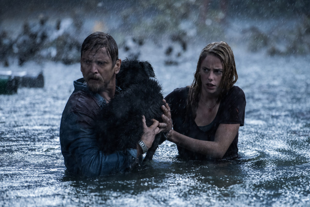 Crawl de Alexandre Aja y Sam Raimi libera primeras imágenes con protagonistas