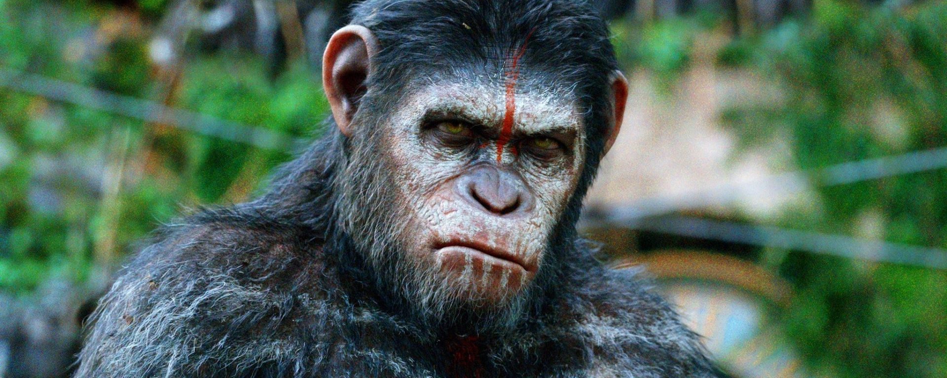 Disney desarrolla nueva entrega de la saga Planet of the Apes