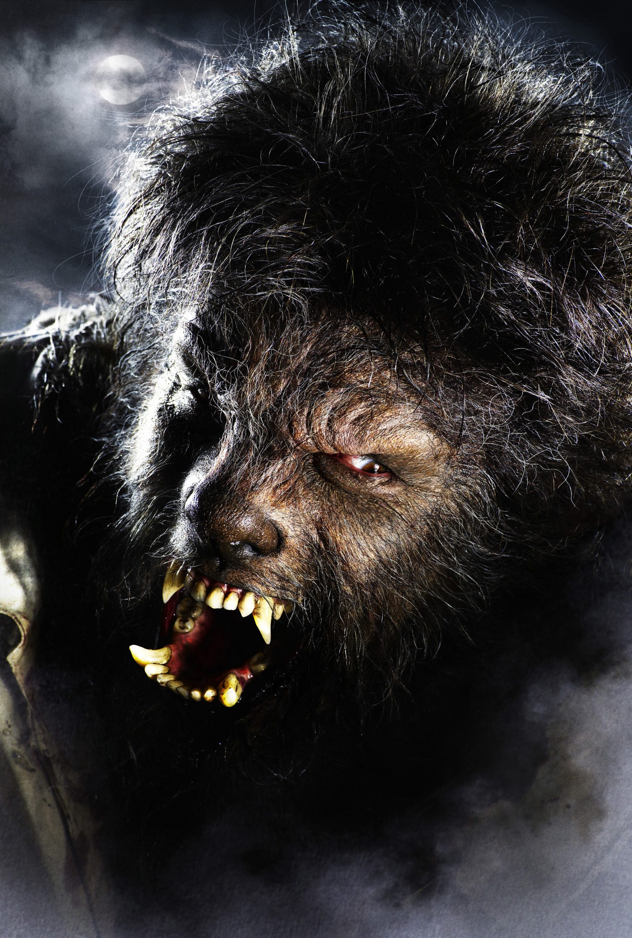 2365_FO_97 Escena de The Wolfman
