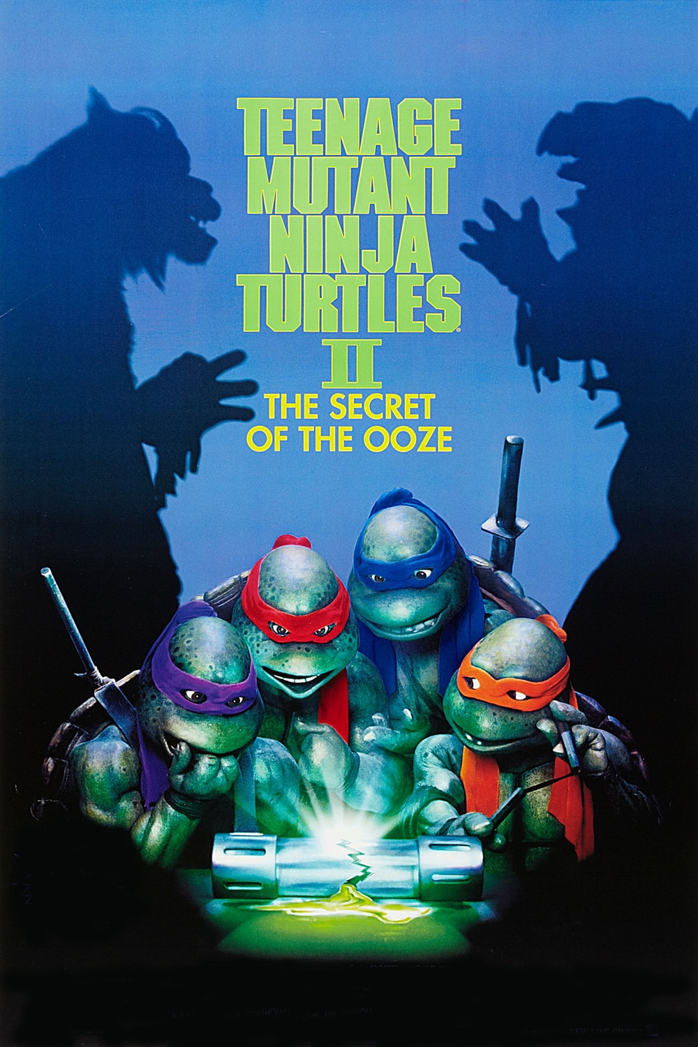 TURTLES NINJA 2