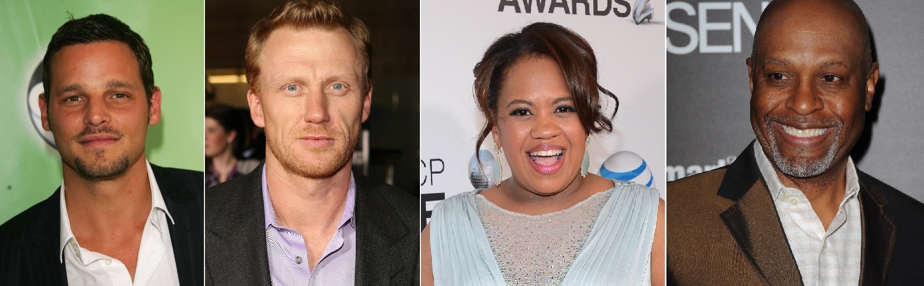 Justin Chambers, Kevin McKidd, Chandra Wilson y James Pickens Jr.