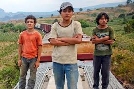 la_jaula_de_oro