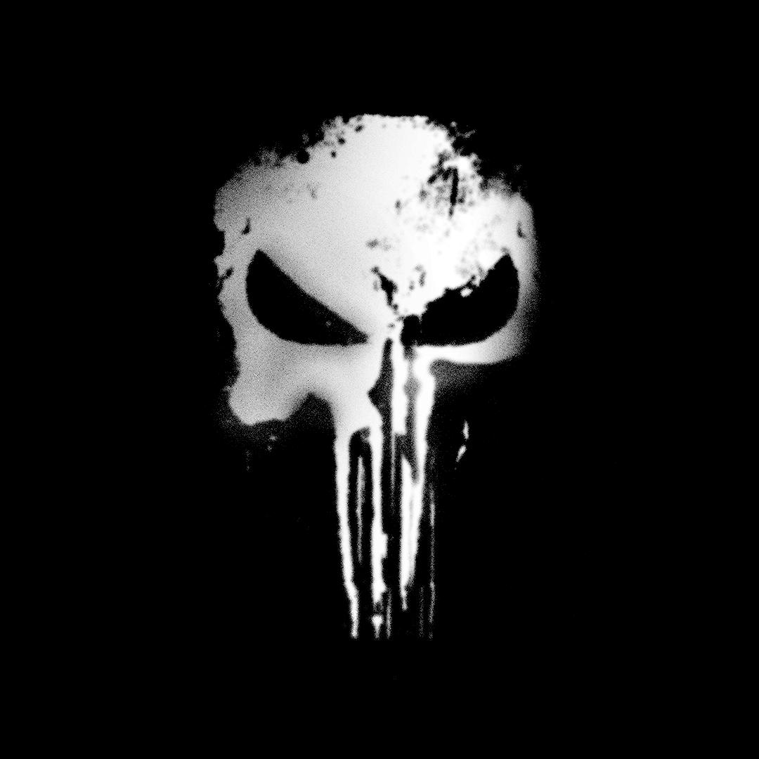 THE PUNISHER