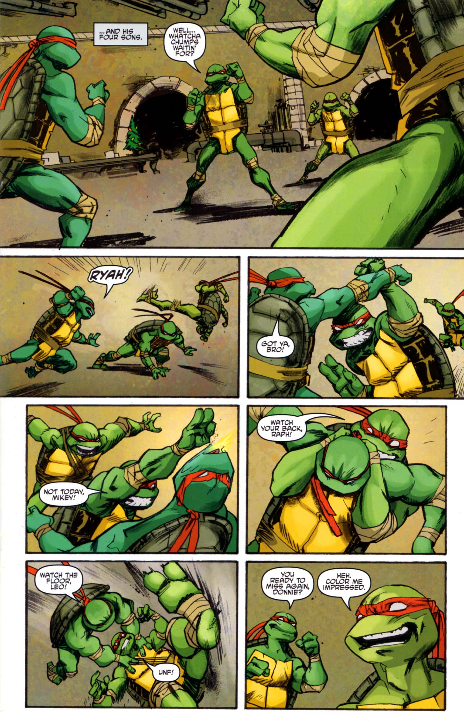 IDW tortugas ninja