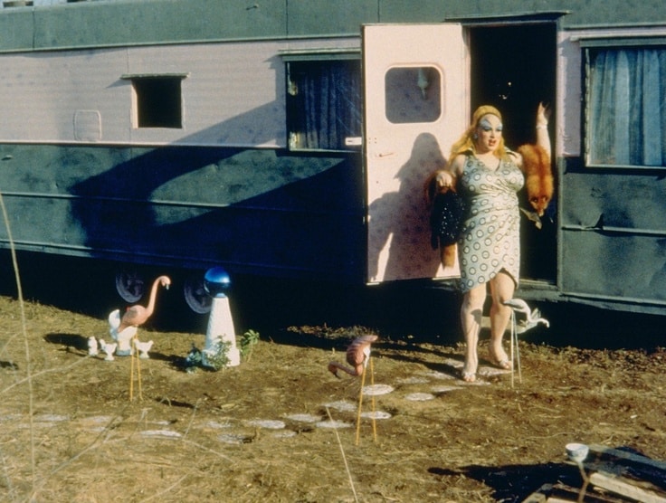 cinco-peliculas-de-culto-70-pink-flamingos