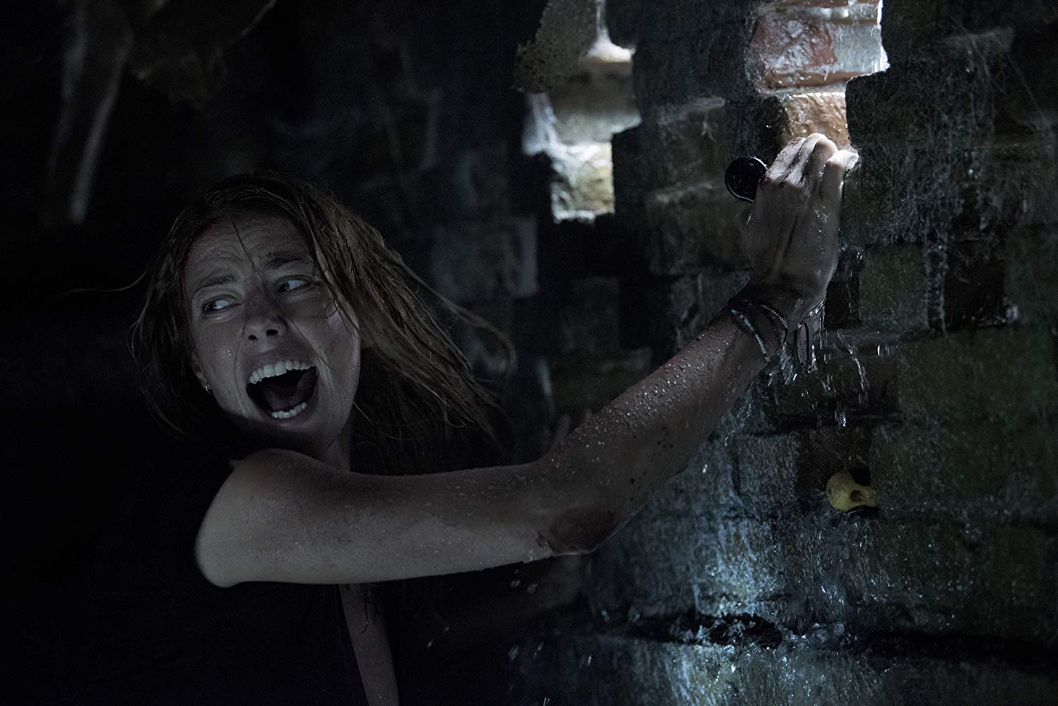 Crawl de Alexandre Aja revela intenso tráiler oficial vía Paramount Pictures