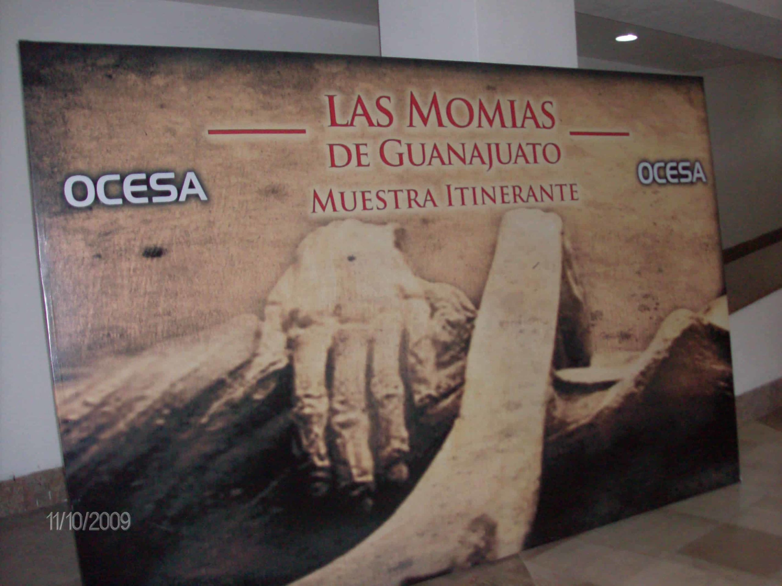 HPIM2113a La entrada