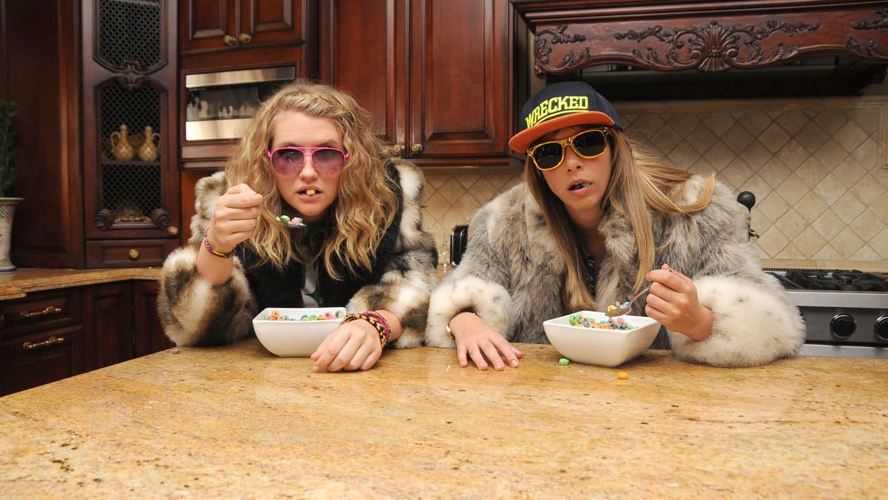 idiotsitter-01