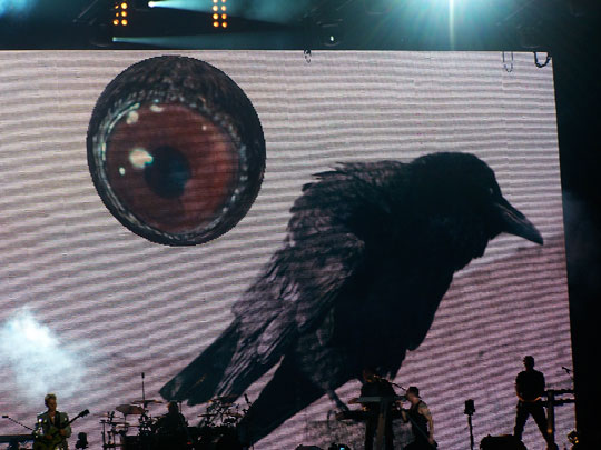 lolla09-depechemode "try walking in my shoes..."