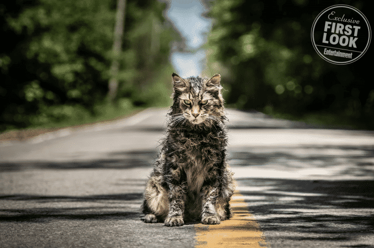 Paramount Pictures revela primeras imágenes del remake Pet Sematary vía EW