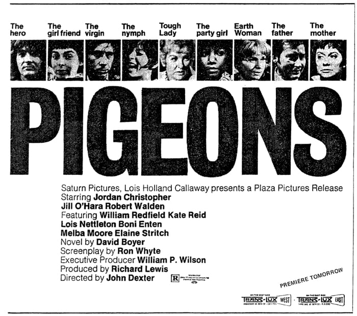 pigeons