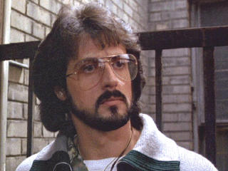 sly 1981