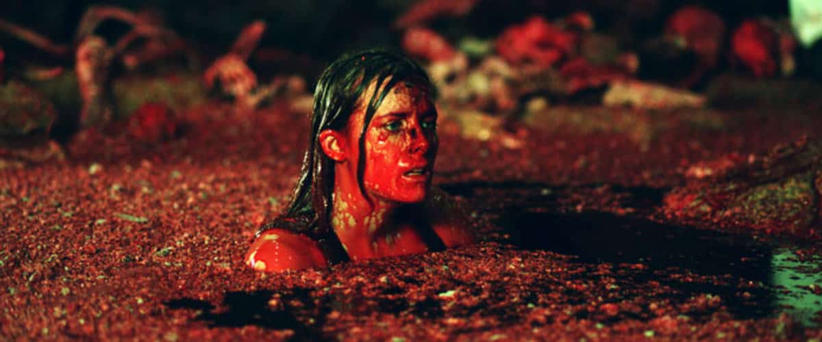 El Descenso (The Descent), 2005.