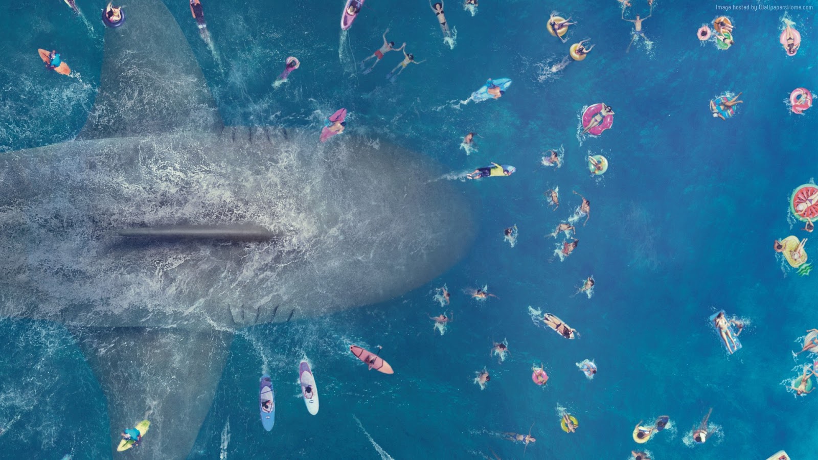 Secuela de The Meg en primeras etapas de desarrollo en Warner Bros